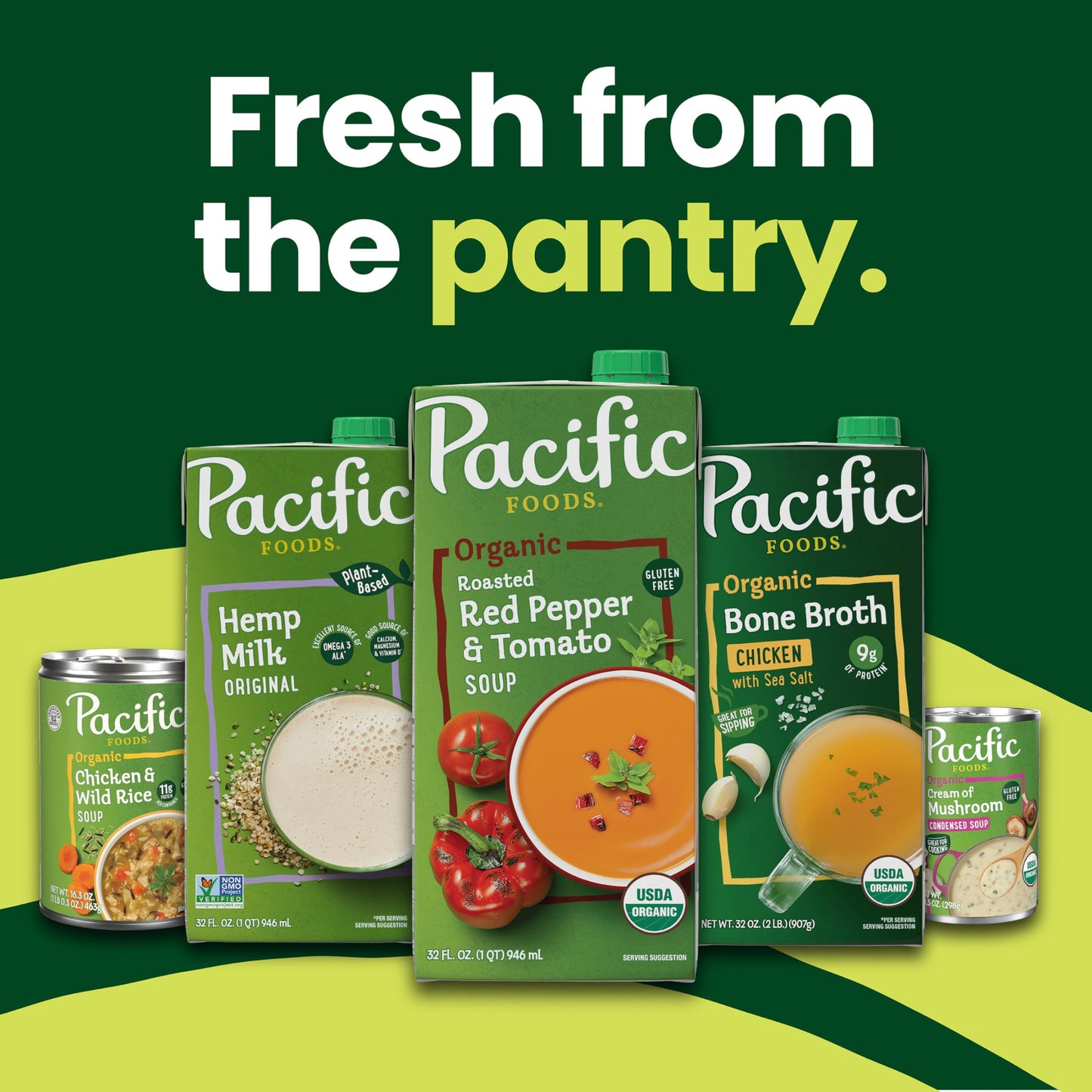 Pacific Foods Organic Free-Range Chicken Broth, 8 oz Carton (12 Pack)