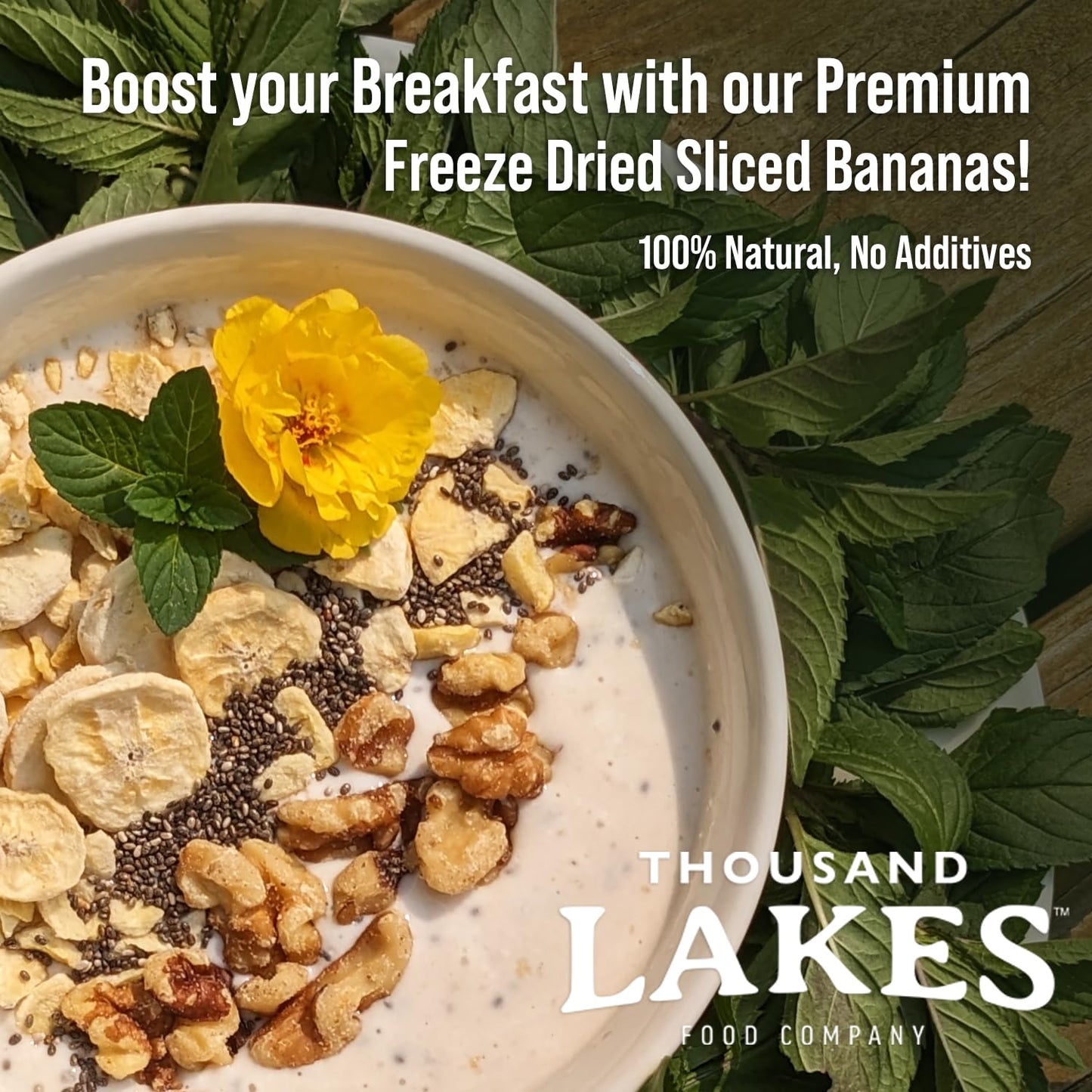 Thousand Lakes Freeze Dried Fruit - Sliced Bananas 2-Pack 3.2 Ounces (6.4 Ounces Total) | No Sugar Added | No Oils Or Fat | 100%