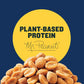 PLANTERS Honey Roasted Peanuts, Party Snack, Plant-Based Protein, After School Snack, Sweet and Salty, Salted Nuts, Flavored wit