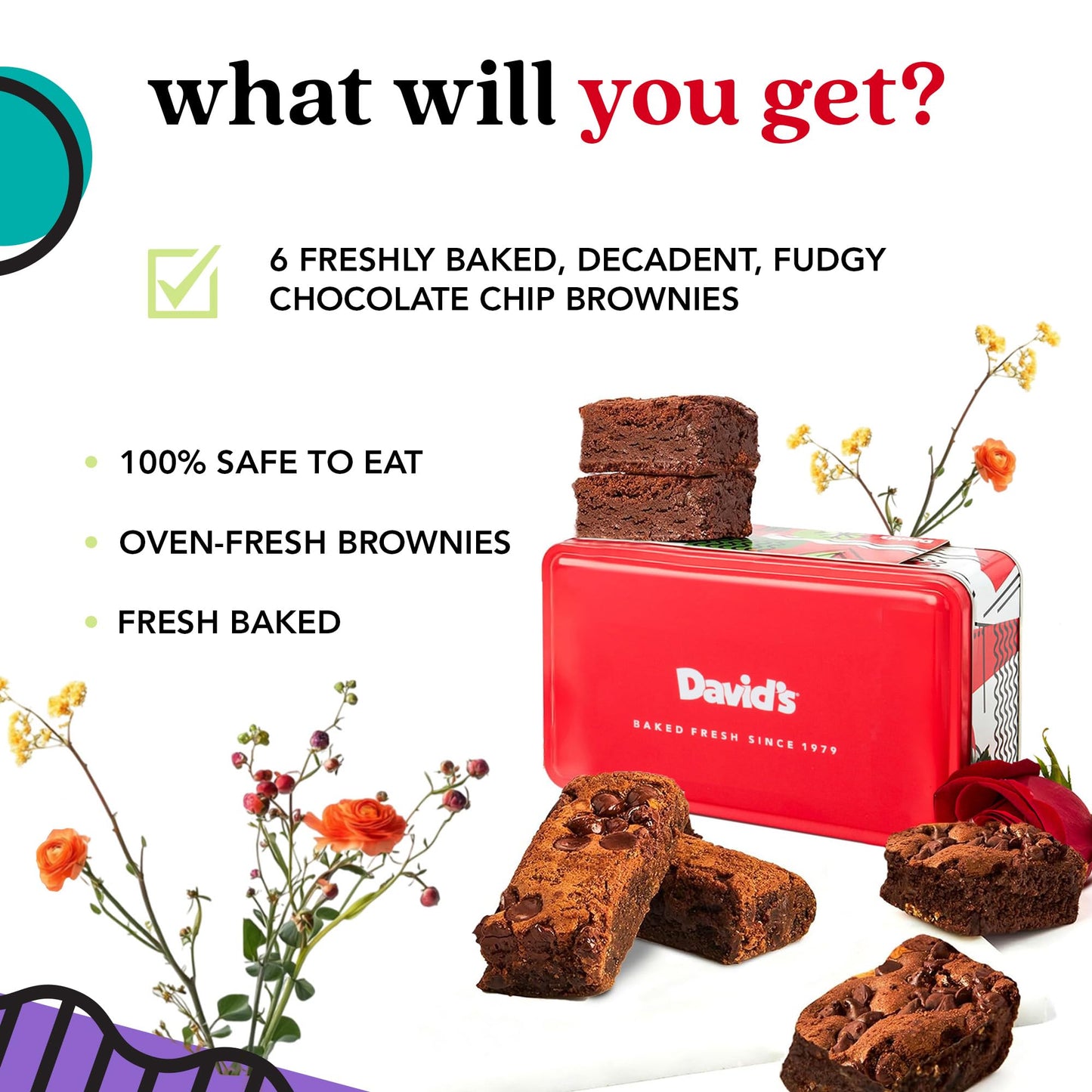 Davids Cookies Chocolate Chip Brownies In Sweet Sampler Tin – Decadent, Fudgy Brownies Packed With Chocolate Chips – Freshly Baked Gourmet Brownie Gift – Bakery Dessert Gift For All Occasions
