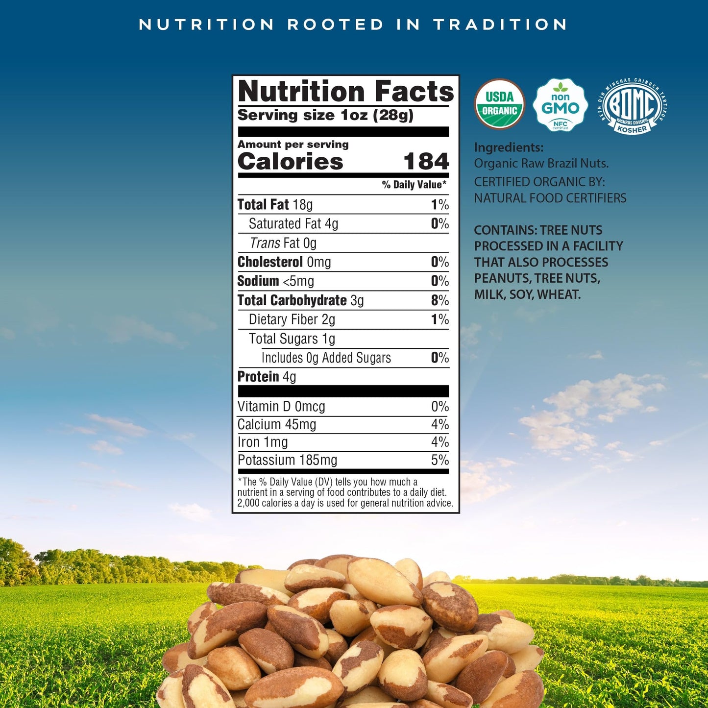 Nut Cravings Organic Raw Brazil Nuts - 16 Oz (1 LB) Resealable Bag, Non-GMO, Vegan, Kosher