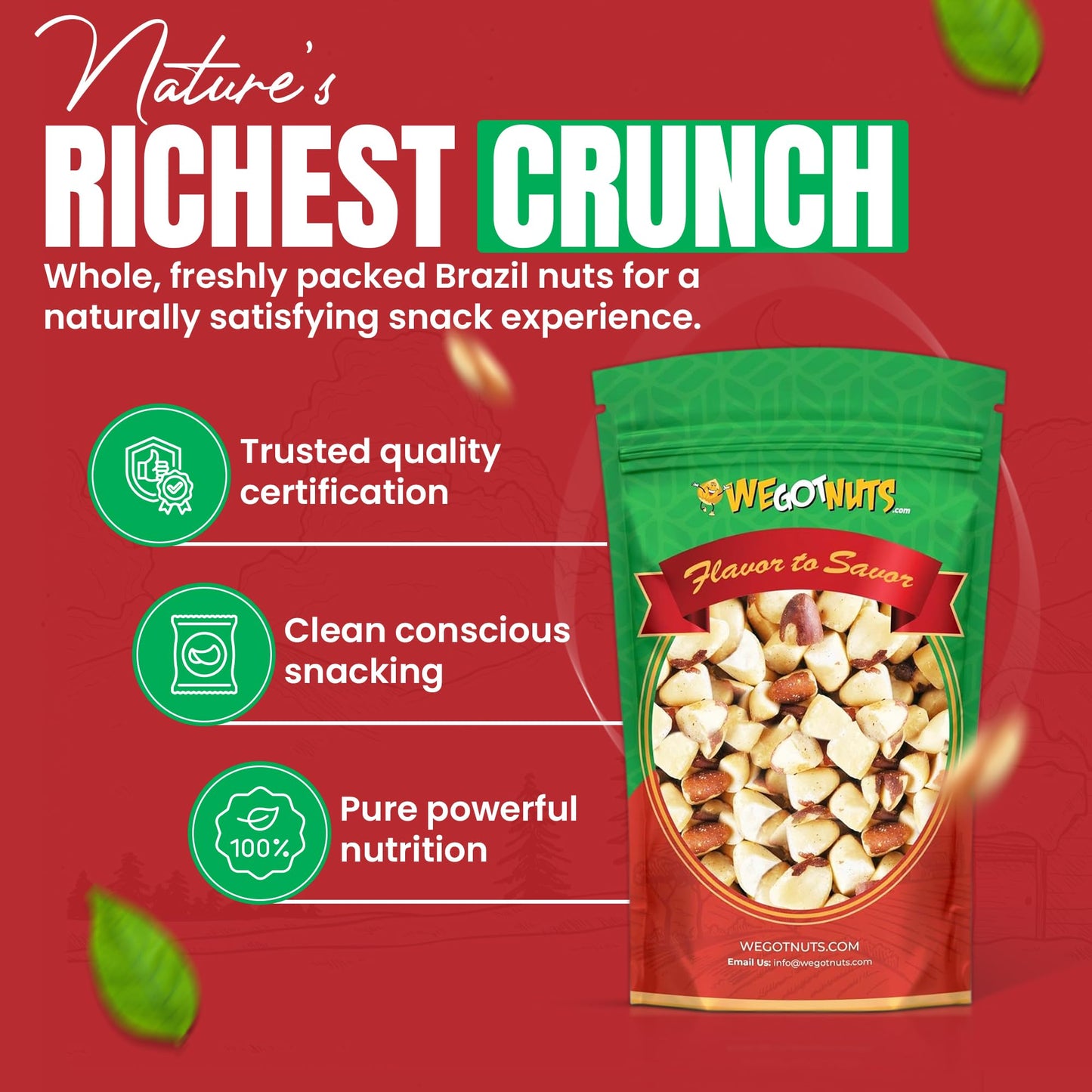We Got Nuts, Roasted Salted Brazil Nuts, Pieces, Shelled, 1 Lbs., Packed Fresh in a Resealable Bag, Gluten Free, Protein Rich, V