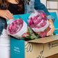 Benchmark Bouquets 50 Stem Premium Lavender Roses - 2 Bundles of 25, Fresh Flowers for Delivery, Model CB-972883