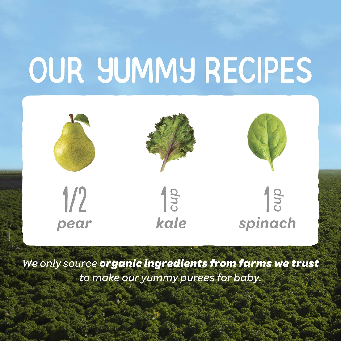 Happy Baby Organics Stage 2 Baby Food Pouches, Gluten Free, Vegan & Healthy Snack, Clearly Crafted Fruit & Veggie Puree, Pears,