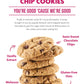 Plant-Based Oatmeal Chocolate Chip Cookies By Steve & Andys, Organic And Gluten Free Soft-Baked, Non-Gmo And Kosher Certified, 5