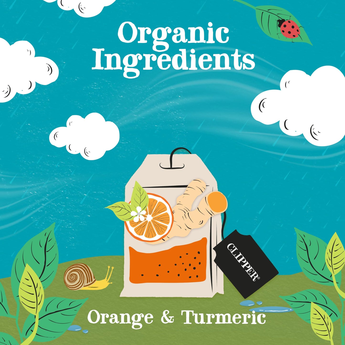 Clipper Tea Organic Herbal Tea, Orange & Turmeric, Caffeine Free, 20 Count (Pack of 6)