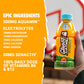 GHOST Hydration Drink - RTD Sports Drink with Electrolytes, 16.9 Fl Oz, Pack of 12, Orange Squeeze
