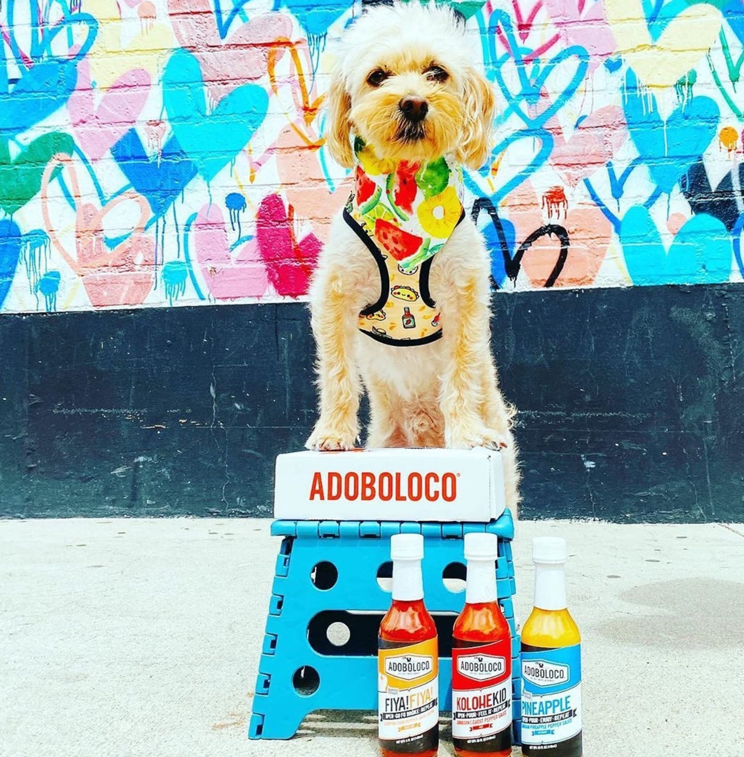Adoboloco Hot Sauce Pineapple Habanero 5oz - Medium Fiery Chili Pepper Sauce, Yellow