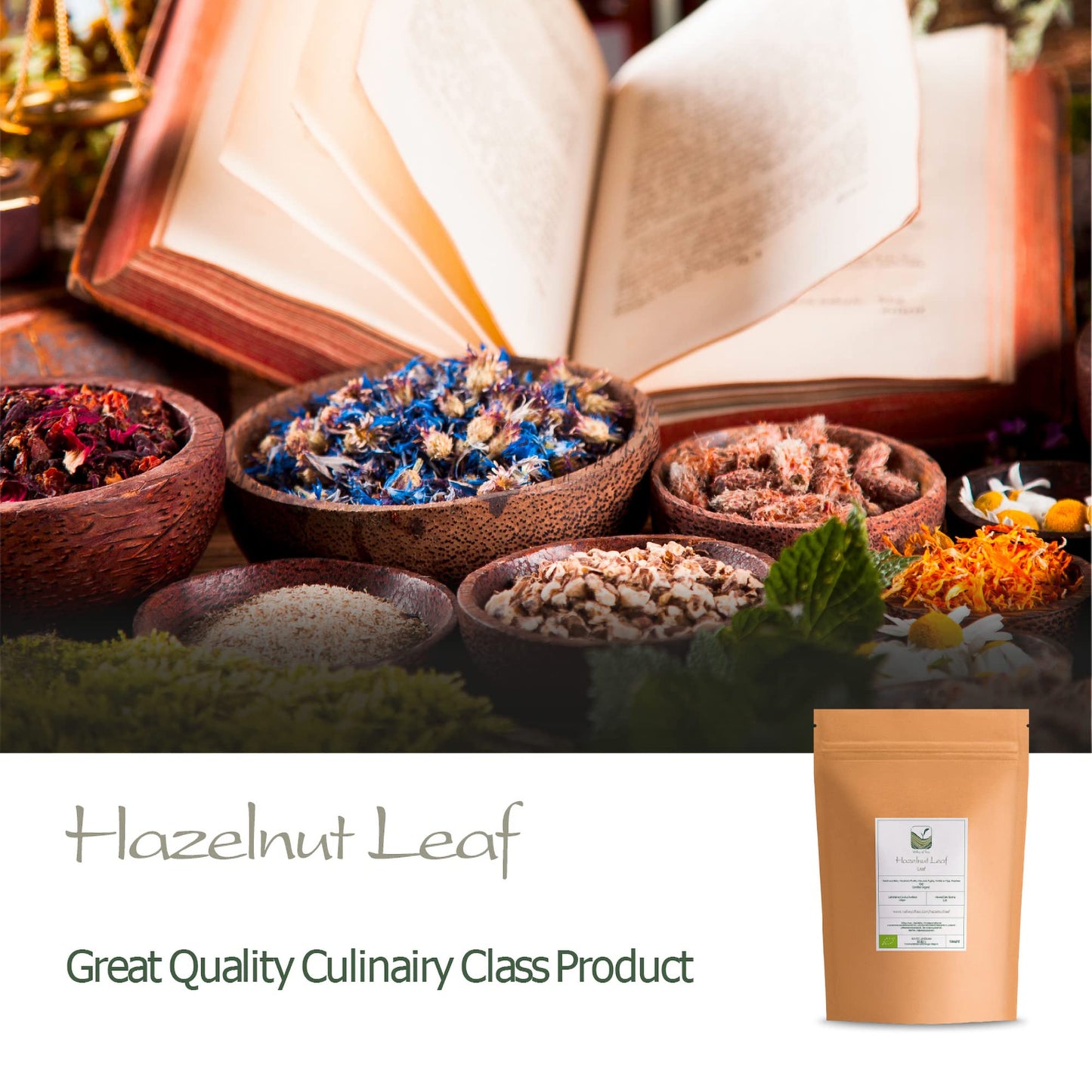 Hazelnut Leaf Tea - Corylus Avellana - Hazelnut Tea Hazel Nuts