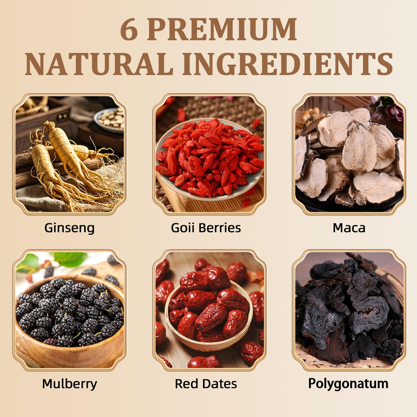 Ginseng Five Treasures Tea Kidney Tea - Kidney Cleanse Ginseng Six Treasures Teas  6 Precious Ingredients Red Date Wolfberry Mulberry Natural Organic Detox Teabag for Women & Men (1 Bag(20 Teabag))