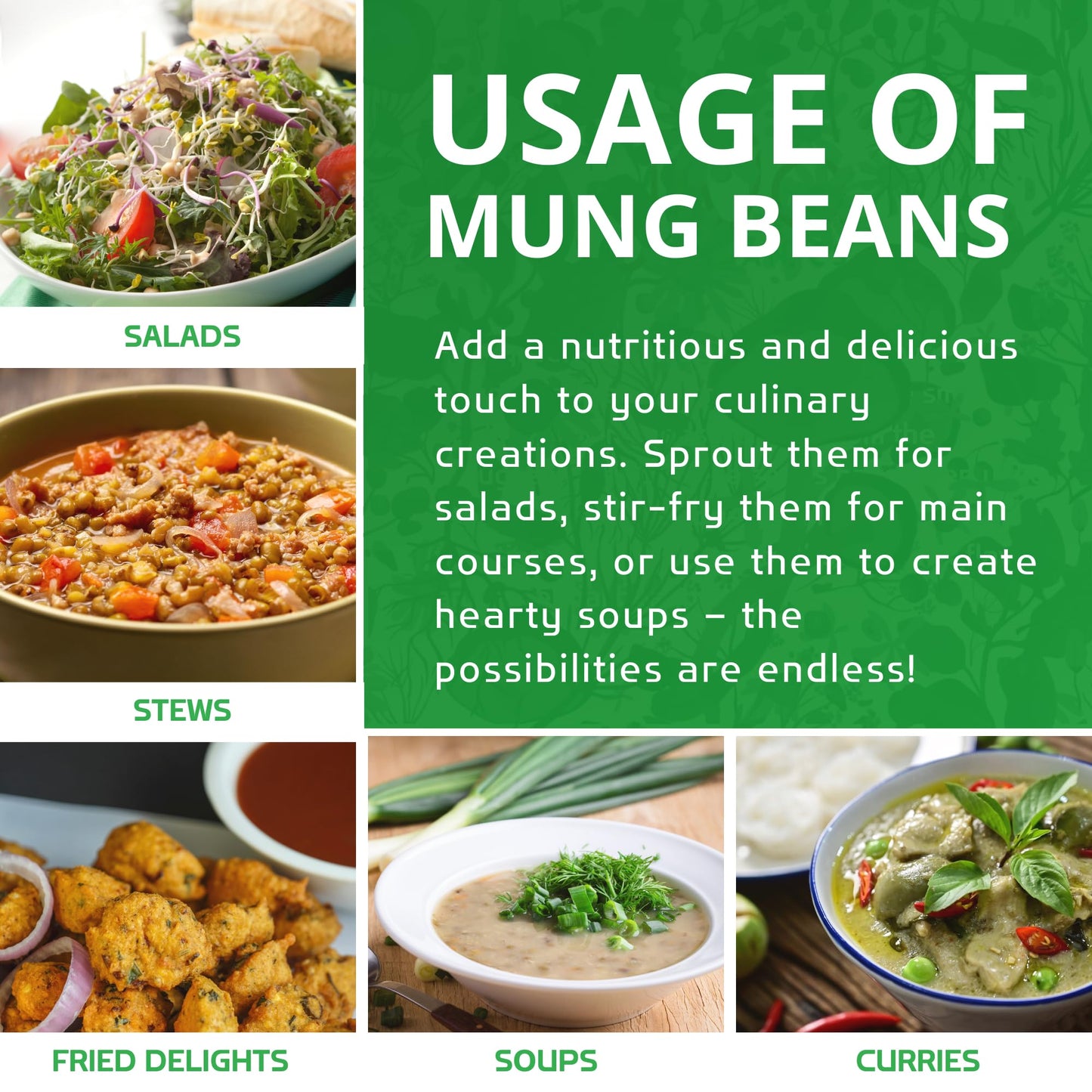 Jiva Organic Mung Bean - Mung Moong Beens Whole For Sprouting And Cooking - 2 Lb Bean Bag – Indian Spices