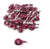 Red Raspberry Only Tootsie Pops Bulk Candy 60 Count Lollipops Suckers Variety Value Pack Aprox. 2.5 Lbs (40 Oz) Packaging Might