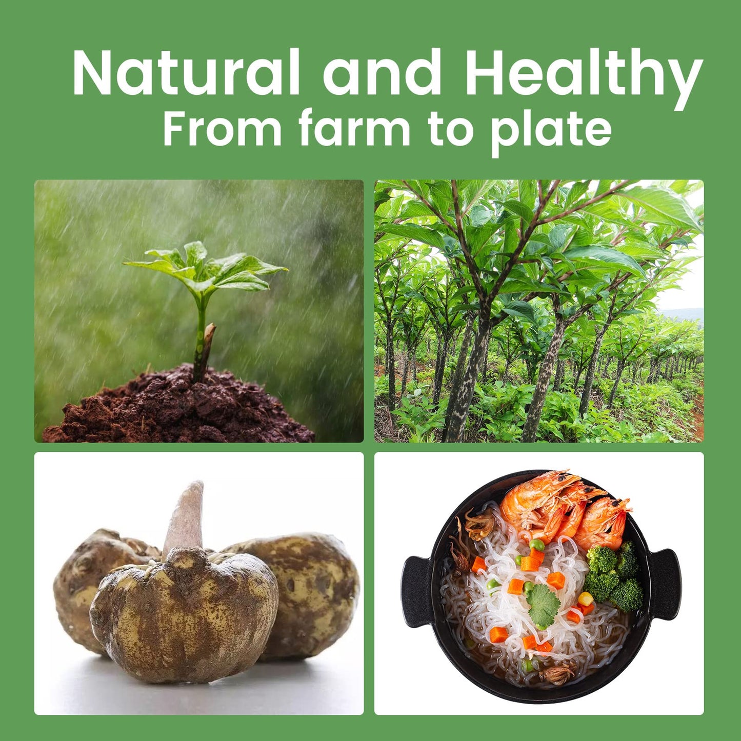 Hethstia Shirataki Noodle Low-Carb Pasta and Rice Variety Pack- Spaghetti, Fettuccine and Rice, Low Calorie Konjac Pasta Gluten