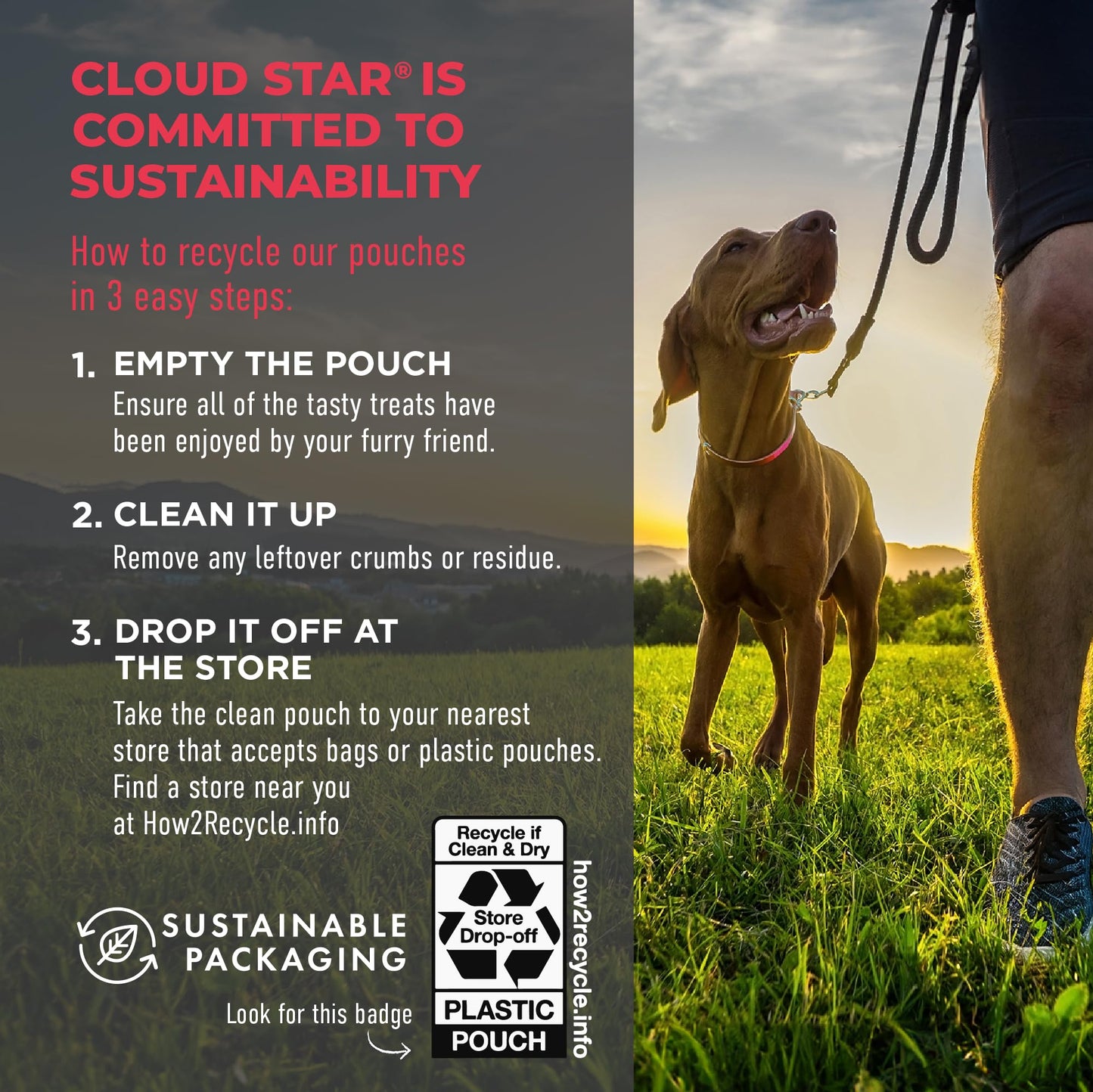 Cloud Star Wag More Bark Less 14 oz Grain Free Meatballs Dog Treats with Beef (19118)