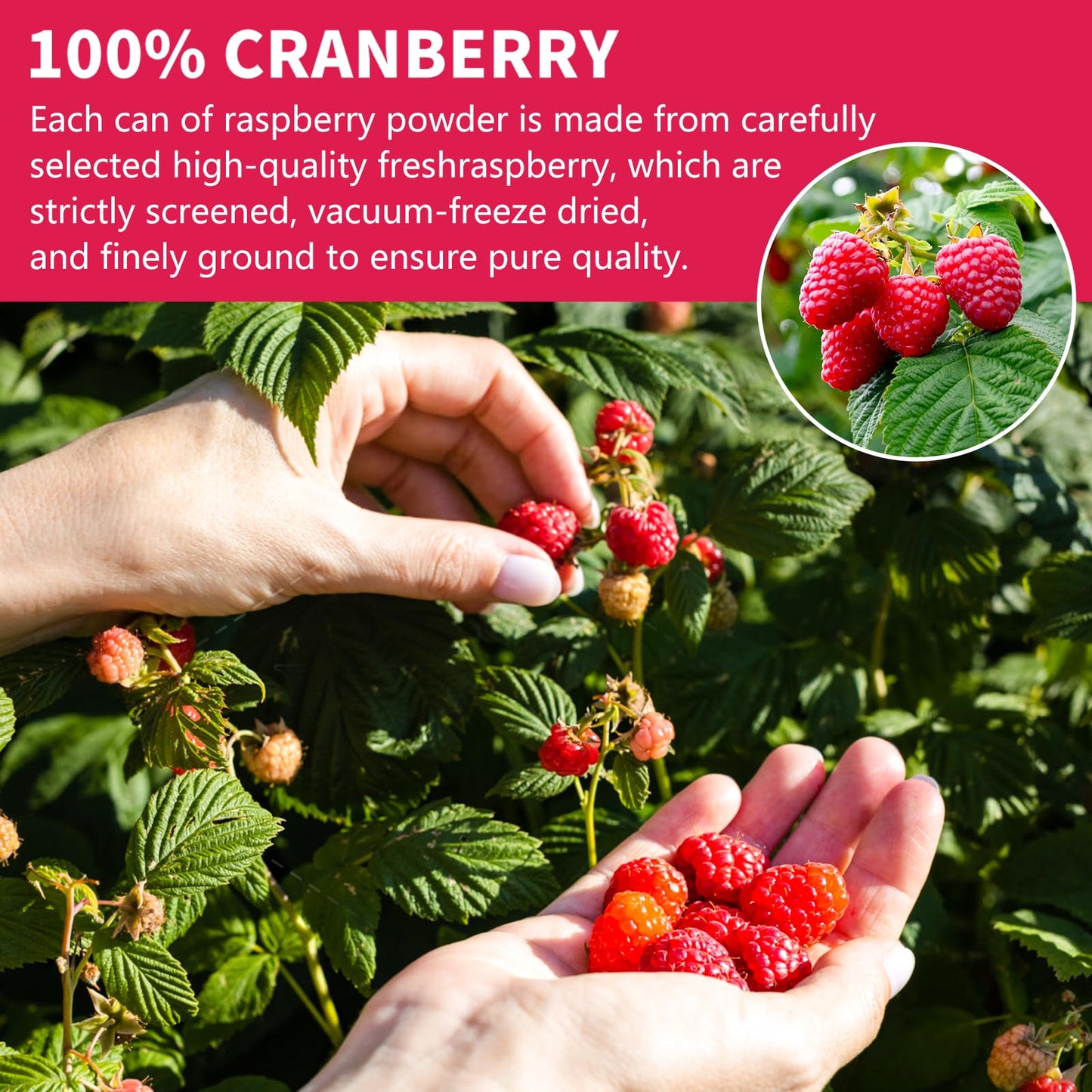 Raspberry Powder, Freeze Dried Raspberry Powder, Natural, No Sugar & Additives, 160G/5.64Oz, Freeze Dried Fruit Powder For Bakin