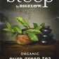 Steep By Bigelow Organic Pure Green Tea, 20 Count (Pack Of 6), 120 Tea Bags Total