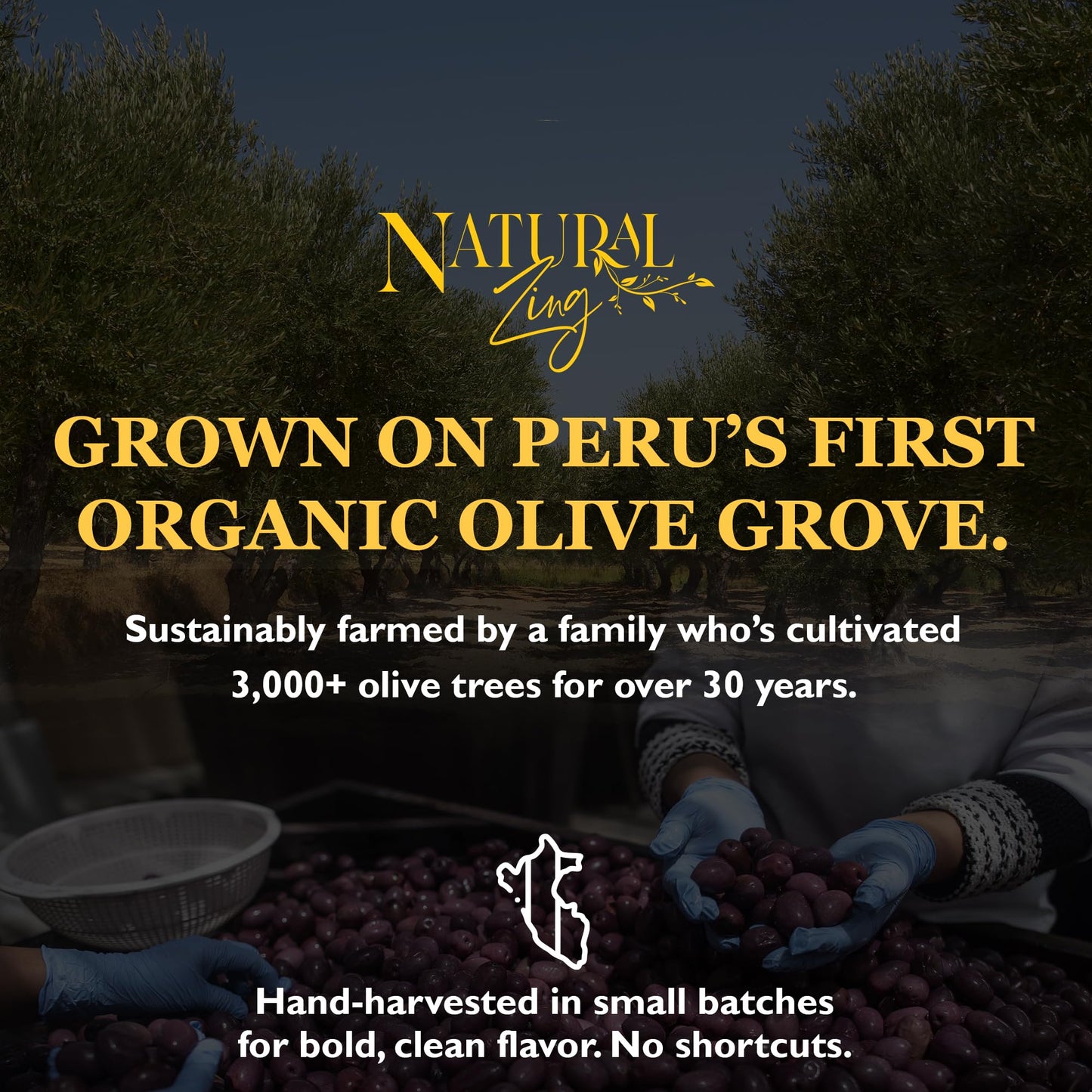 NaturalZing Organic Peruvian Dried Black Olives, Raw & Herb-Infused, Pitted, 8 oz