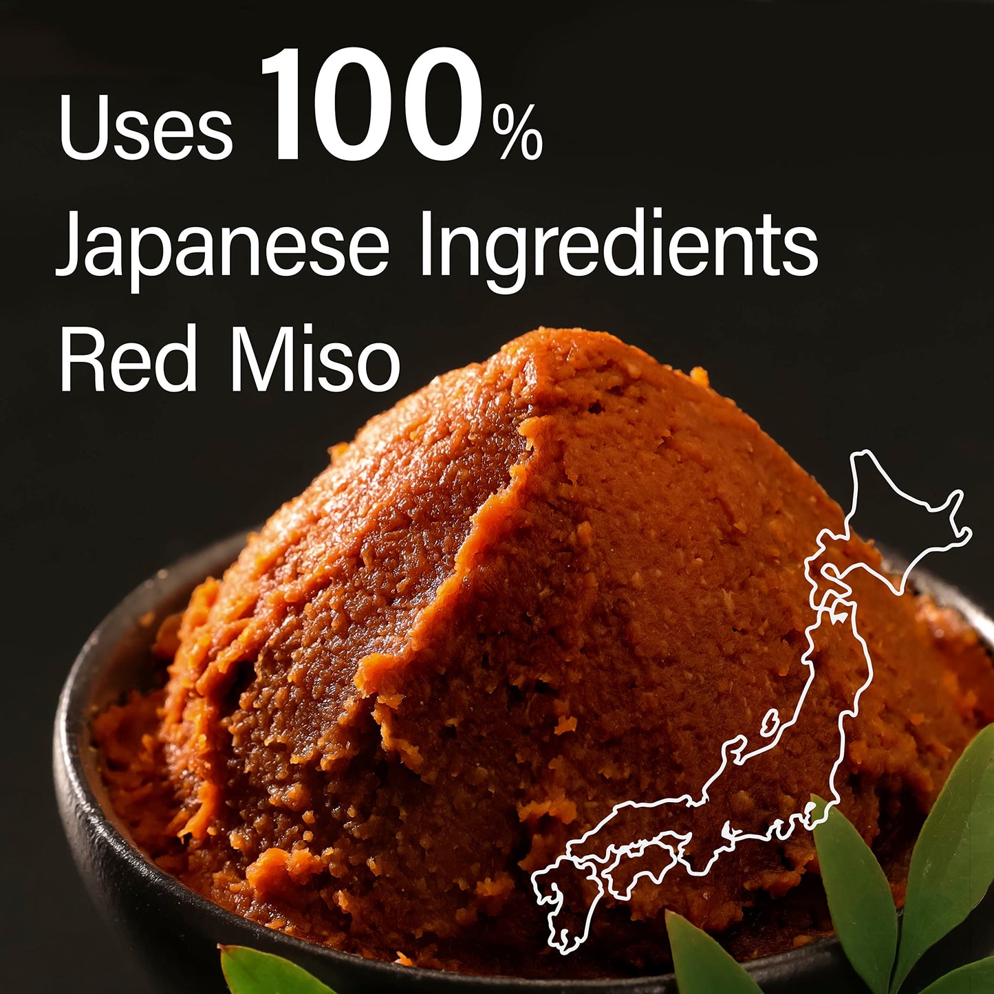 Japanese Furikake Seasoning, Rich Red Miso With Dried Bonito Flakes And Black Sesame (45G), Made In Japan,Sold By Japanese Compa