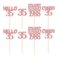 Gyufise 24Pcs Cheers to 35 Years Birthday Cupcake Toppers Glitter Thirty-five Straight Outta 1988 Cupcake Picks Happy 35th Cake