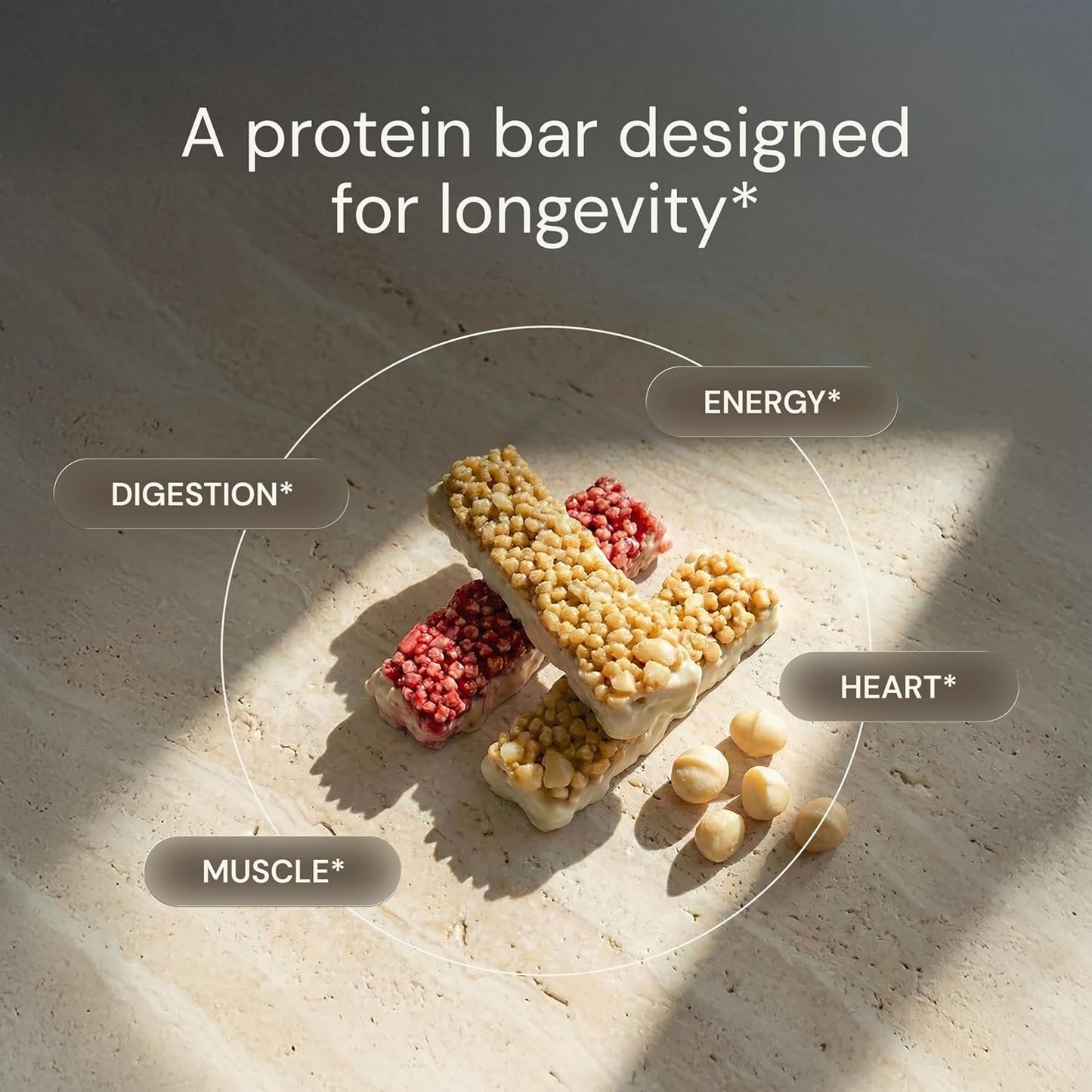 Blueprint Bryan Johnson Macadamia Nut Protein Bar - 9G Plant Protein, Low Carb & Sugar - Raspberry - 12 Count Pack