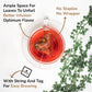 BREWIX Hibiscus Rose Herbal Tea Bags, 15 Pyramid Bags, Whole Hibiscus Flowers, Chamomile, Spices, Supports Wellness & Digestion