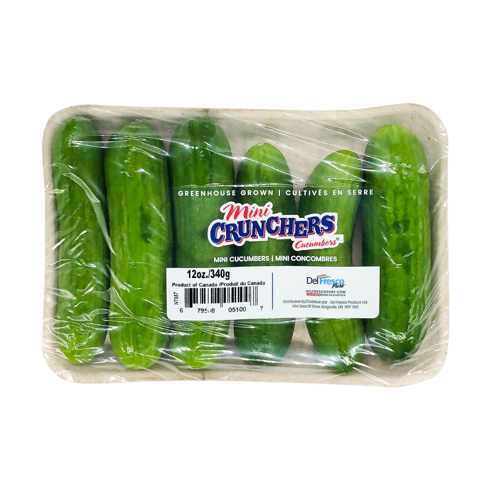 Cucumber Mini Seedless 6 Count, 12 Ounce