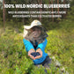 Jungle Powders Wild Blueberry Powder 7 Ounce Bag, Nordic Freeze Dried Blueberries No Sugar Added For Smoothie, Additive And Fill