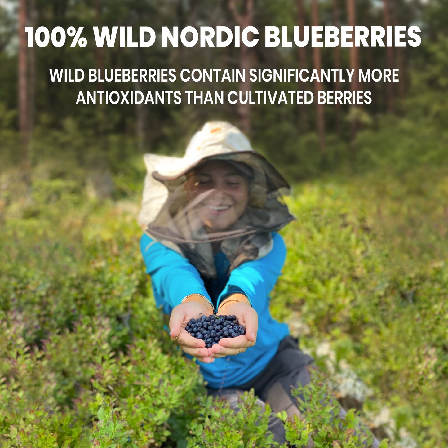 Jungle Powders Wild Blueberry Powder 7 Ounce Bag, Nordic Freeze Dried Blueberries No Sugar Added For Smoothie, Additive And Fill