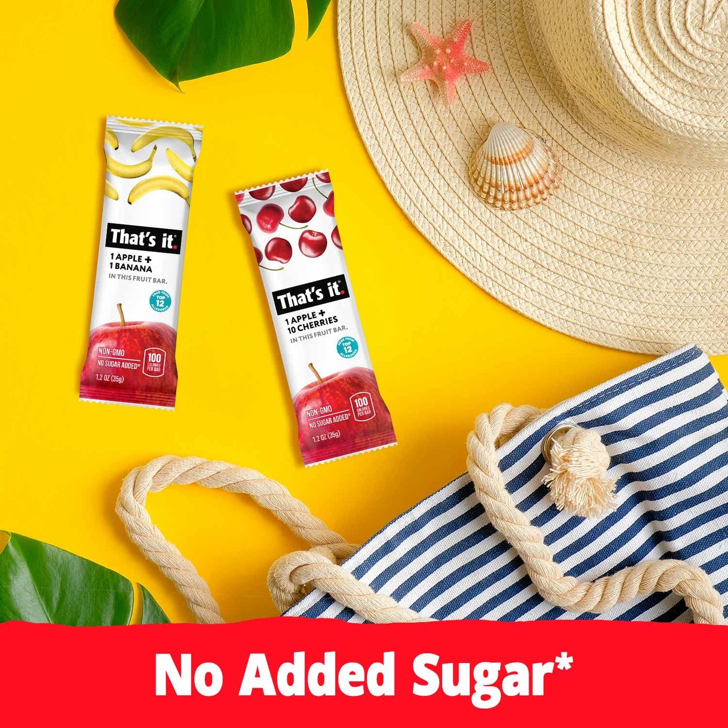 Thats it. Real Fruit Bar Variety, High Fiber, Vegan, Gluten Free, 36 Count (Mango, Cherry, Banana)