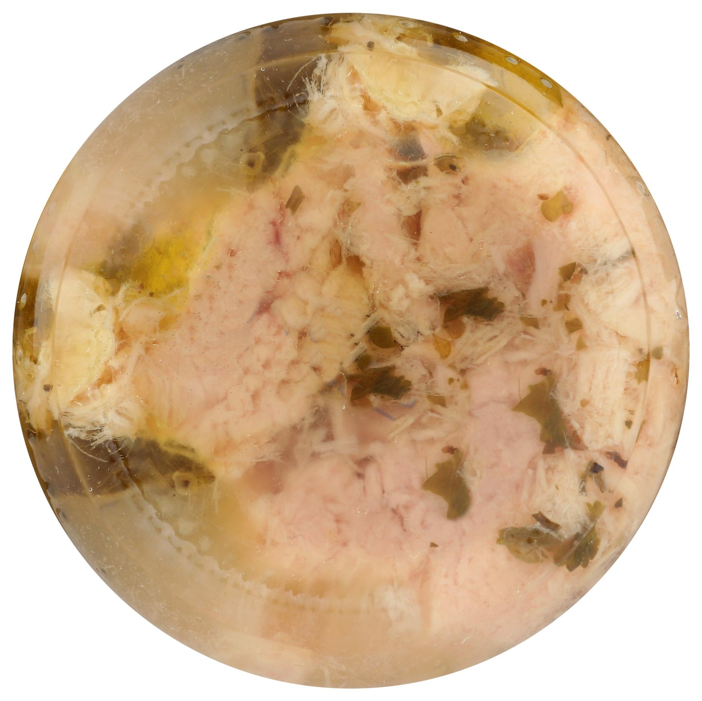 Tuna Fish (Pack of 1, Oregano)