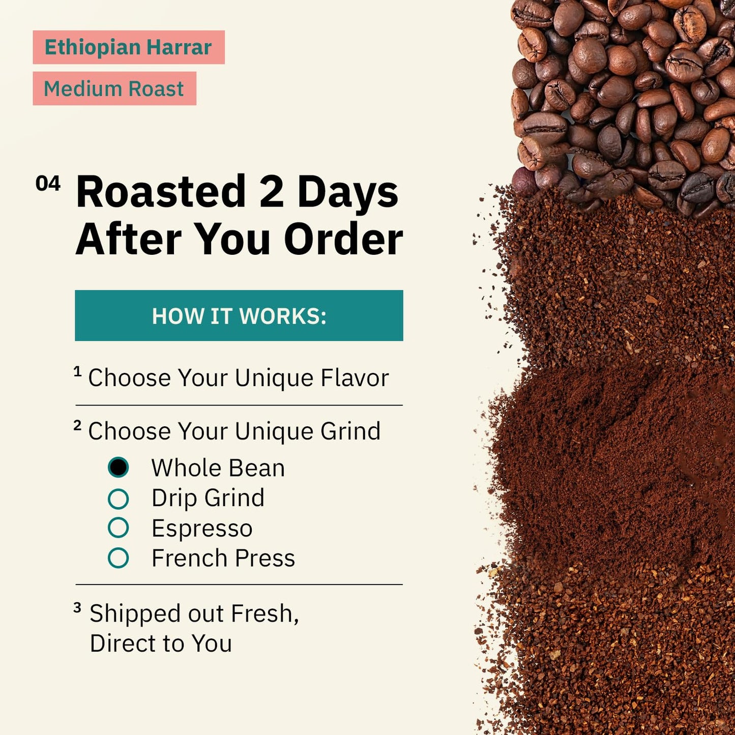 Organic Ethiopian Whole Bean Coffee Medium Roast - 12 Oz, Single Origin Ethiopian Harrar Coffee Beans, Specialty Coffee, Fair Tr