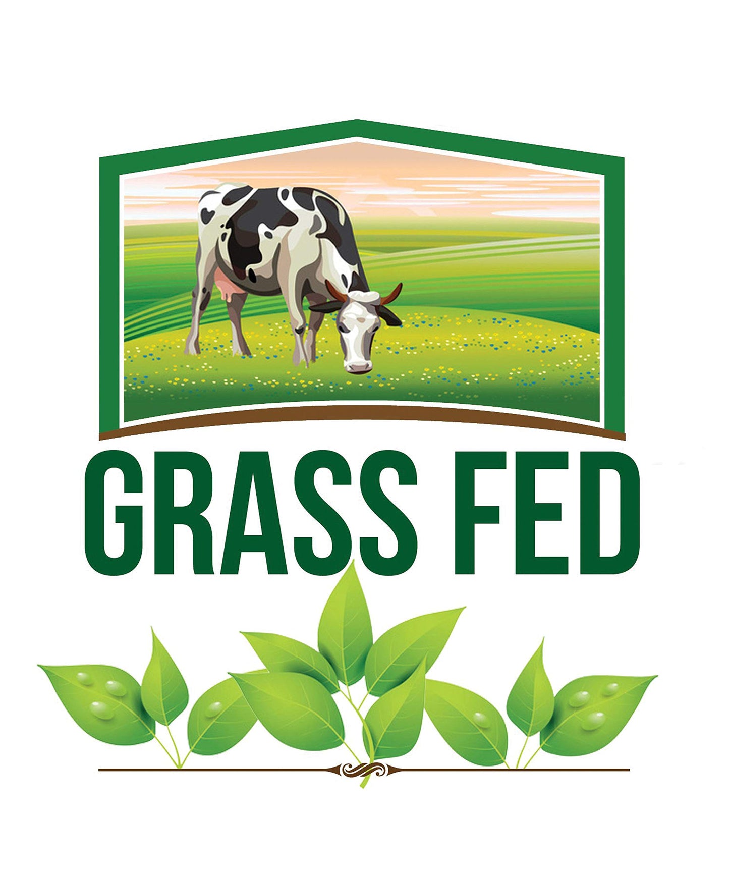 Organic Grassfed Real Butter Powder - Keto Non Gmo Rbst   Free Paleo Low Carb Sugar Free Gluten Free - Healthy Fat   - Great In Keto Coffee - Unsalted 8Oz