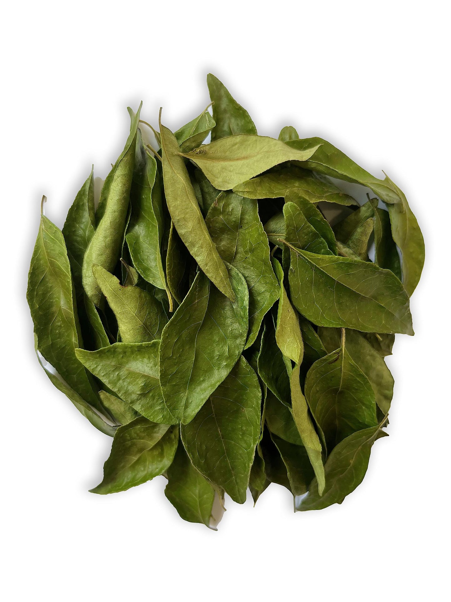 Ceylon Rustic Savour Dried Curry Leaves Organic 0.4 Oz Non-GMO Vegan Gluten Free Aromatic Flavor