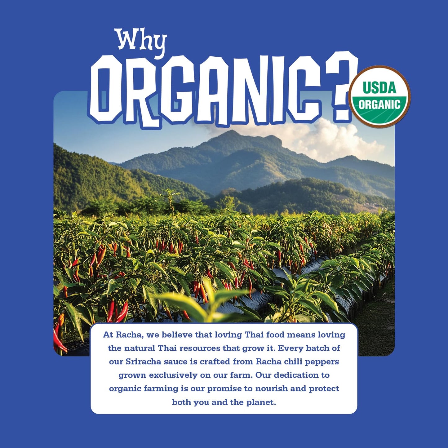 Organic Sriracha Sauce by Racha Organics - Organic Chili Pepper Sauce MILD - Certified Organic - Plant-Based - Gluten Free - Non