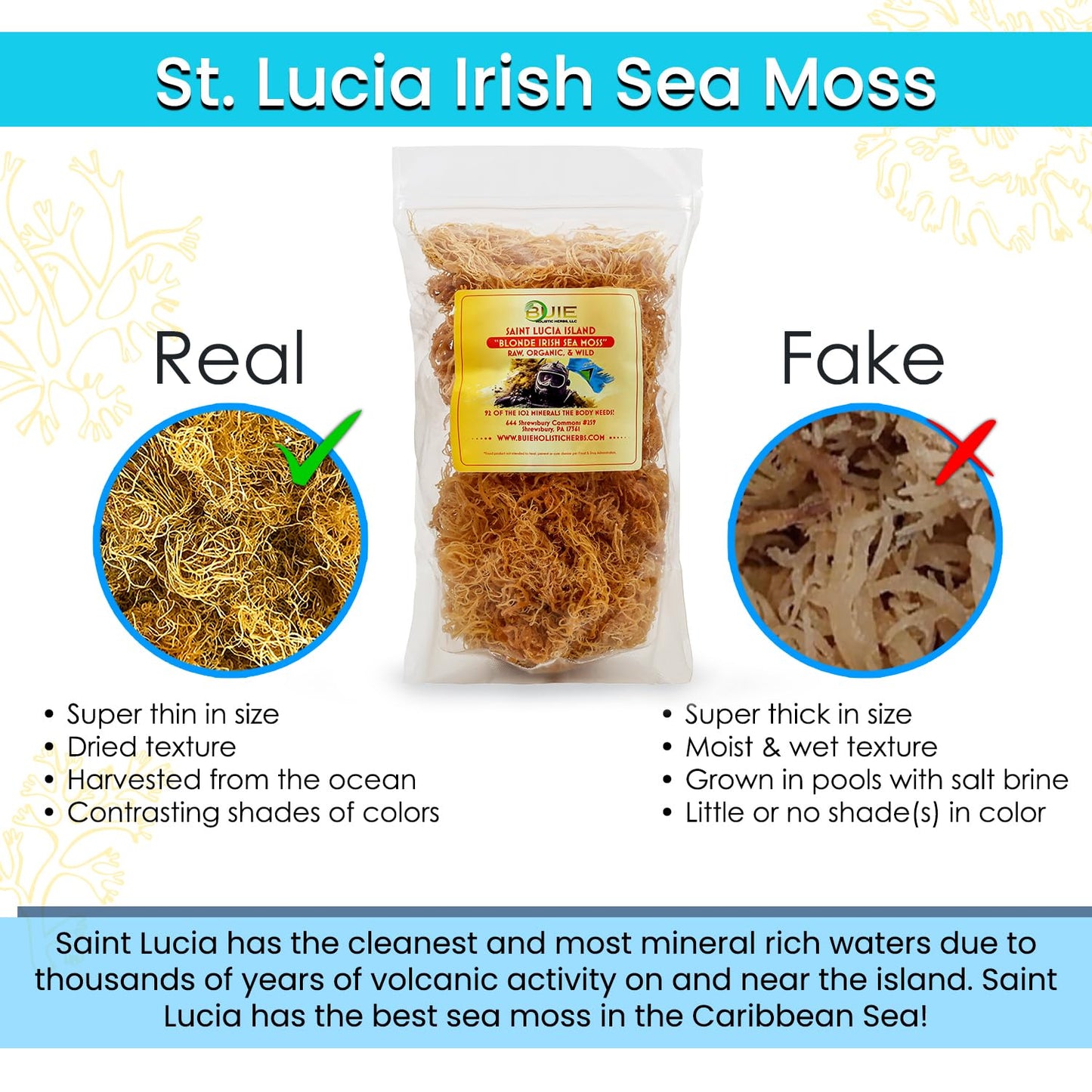 Golden Irish Sea Moss | Wildcrafted From St. Lucia | 8Oz Makes ~120+ Oz Sea Moss Gel | 100% Natural, Raw & Sun-Dried | Dr. Sebi Inspired, Nutrient-Rich Irish Moss For Health & Wellness