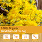 Hudetex Organic Dandelion Leaf & Root Tea Bags, Caffeine Free, 30 Bags, Resealable
