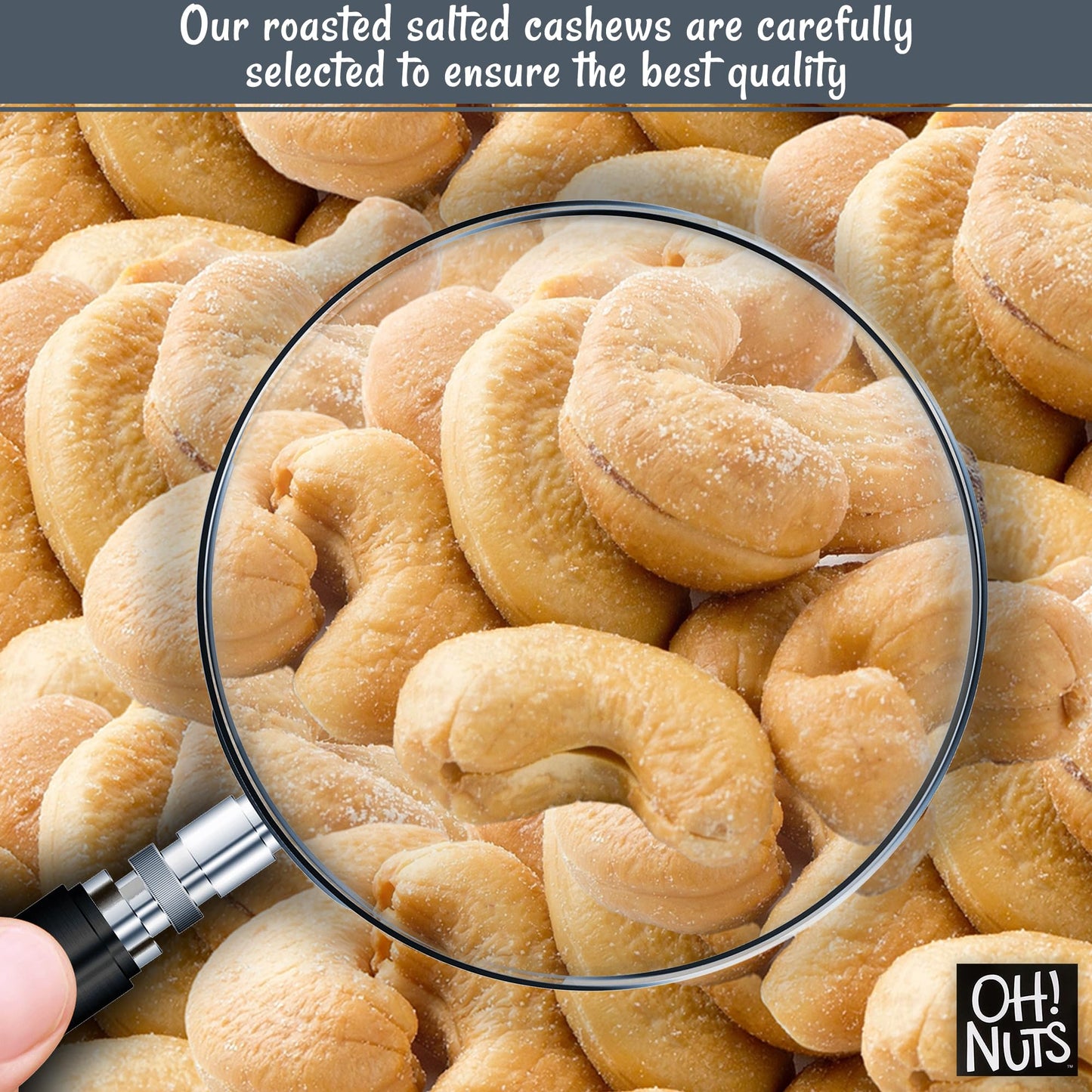 Cashews Roasted Salted | 1 Lb | Oven Dry Roasted Cashews | Packed In New York Zip-Seal Bag For Exceptional Freshness By Oh Nuts