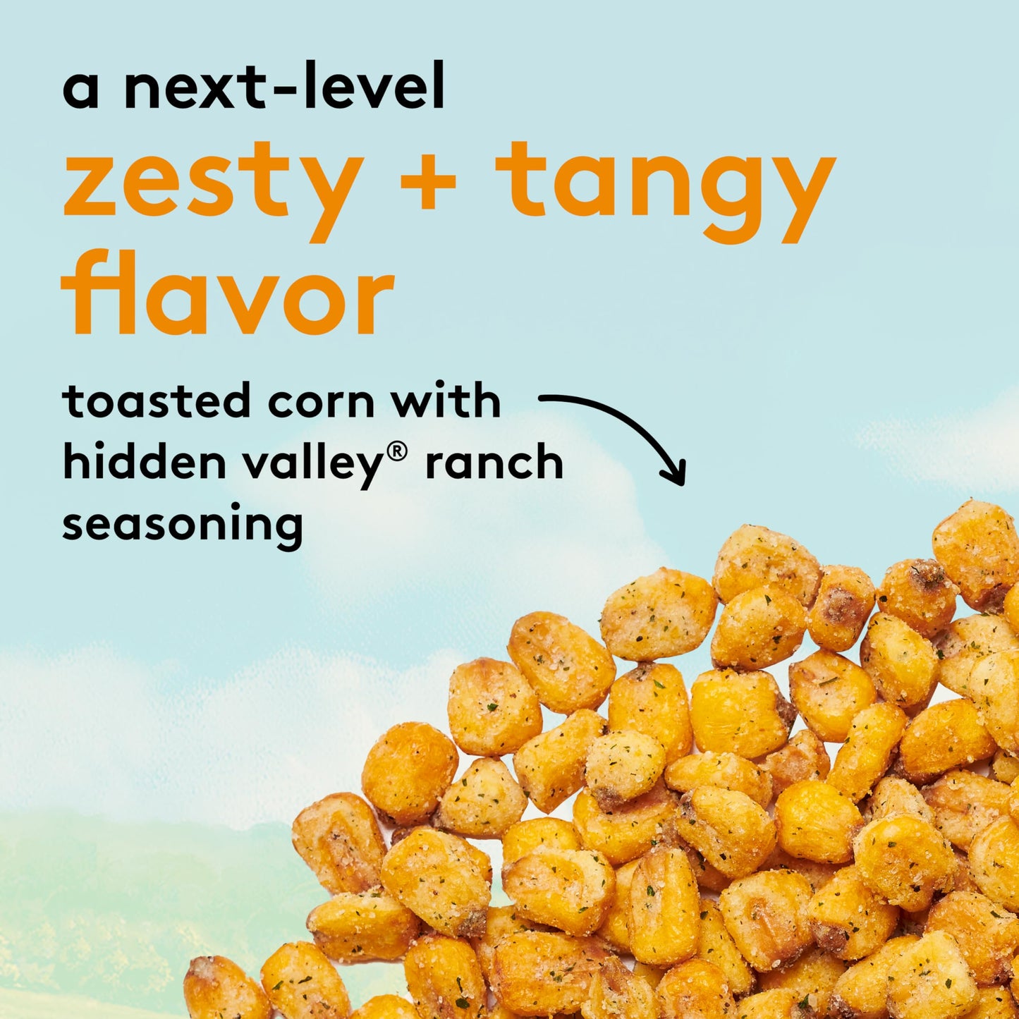 Snak Club Toasted Corn with Hidden Valley Ranch Seasoning, Roasted and Salted Corn Nuggets, Gluten-Free and Kosher Snack, 8.5 oz