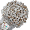 Variety Gourmet Saltwater Taffy (Hot Cocoa, 1 Pound (Pack of 1))