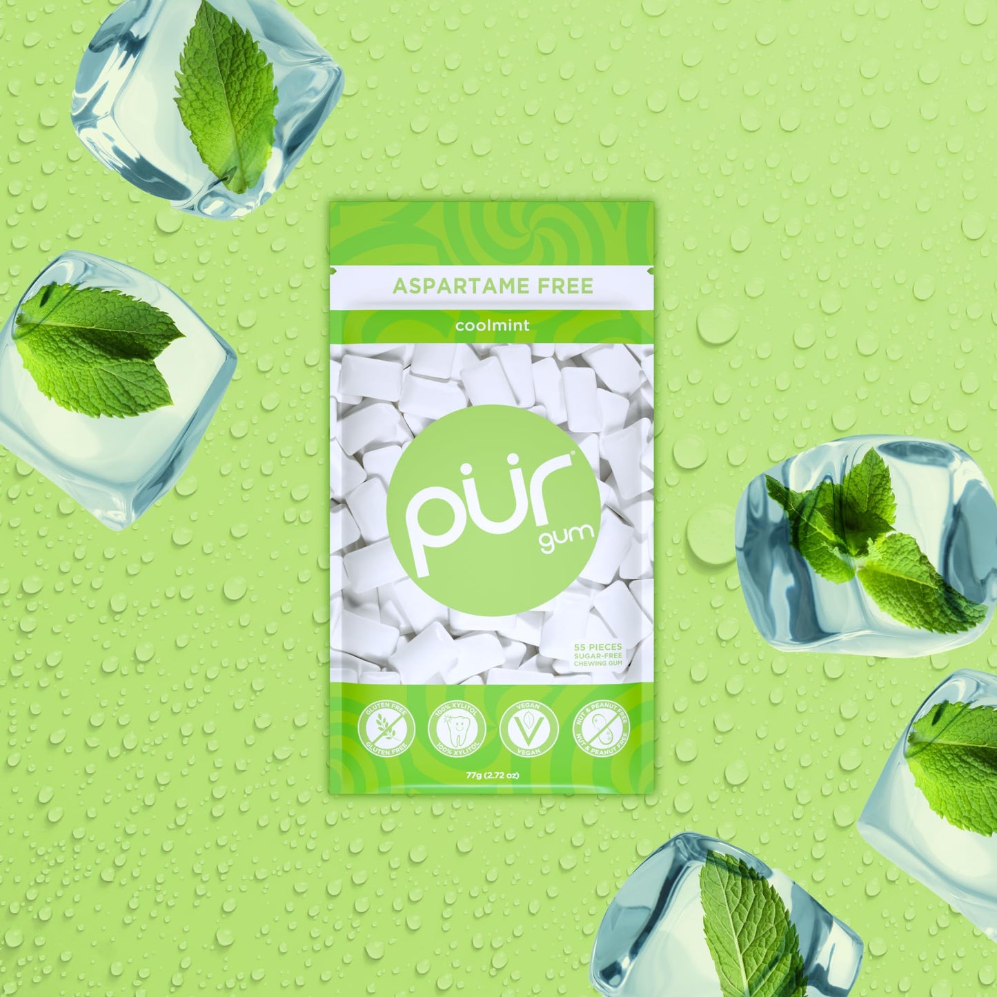 Pur Gum | Aspartame Free Chewing Gum | 100% Xylitol | Natural Coolmint Flavored Gum, 55 Pieces (Pack Of 12)