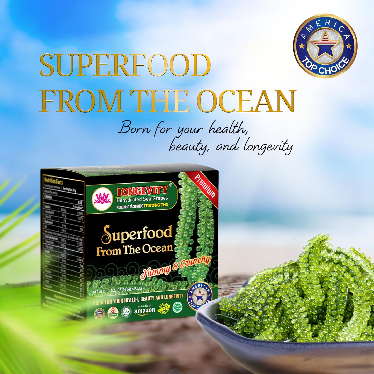 LONGEVITY Sea Grapes - Umibudo Green Caviar, Dehydrated, Marinated in Saltwater, 1.4 oz (Pack of 2) - Boost Health & Immune