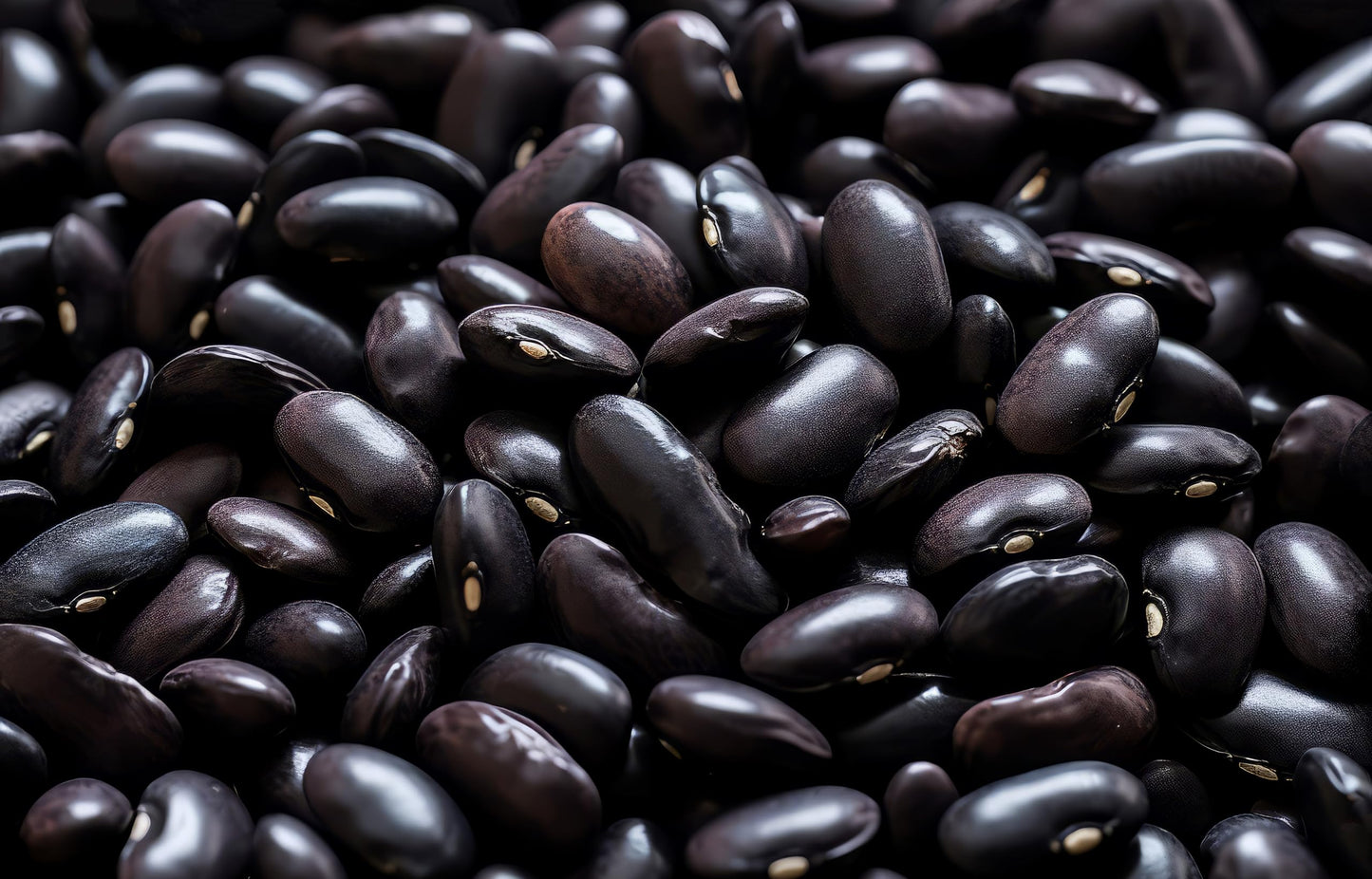 Fresh Black Beans By RawJoy | Organic Fresh Black Beans, 10 Pound (Pack of 1)