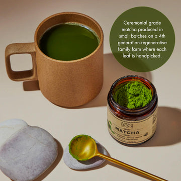 Anima Mundi Apothecary Matcha Powder - Japanese Single-Origin & Stone-Ground - Certified Organic, Ceremonial Grade Matcha - Smal