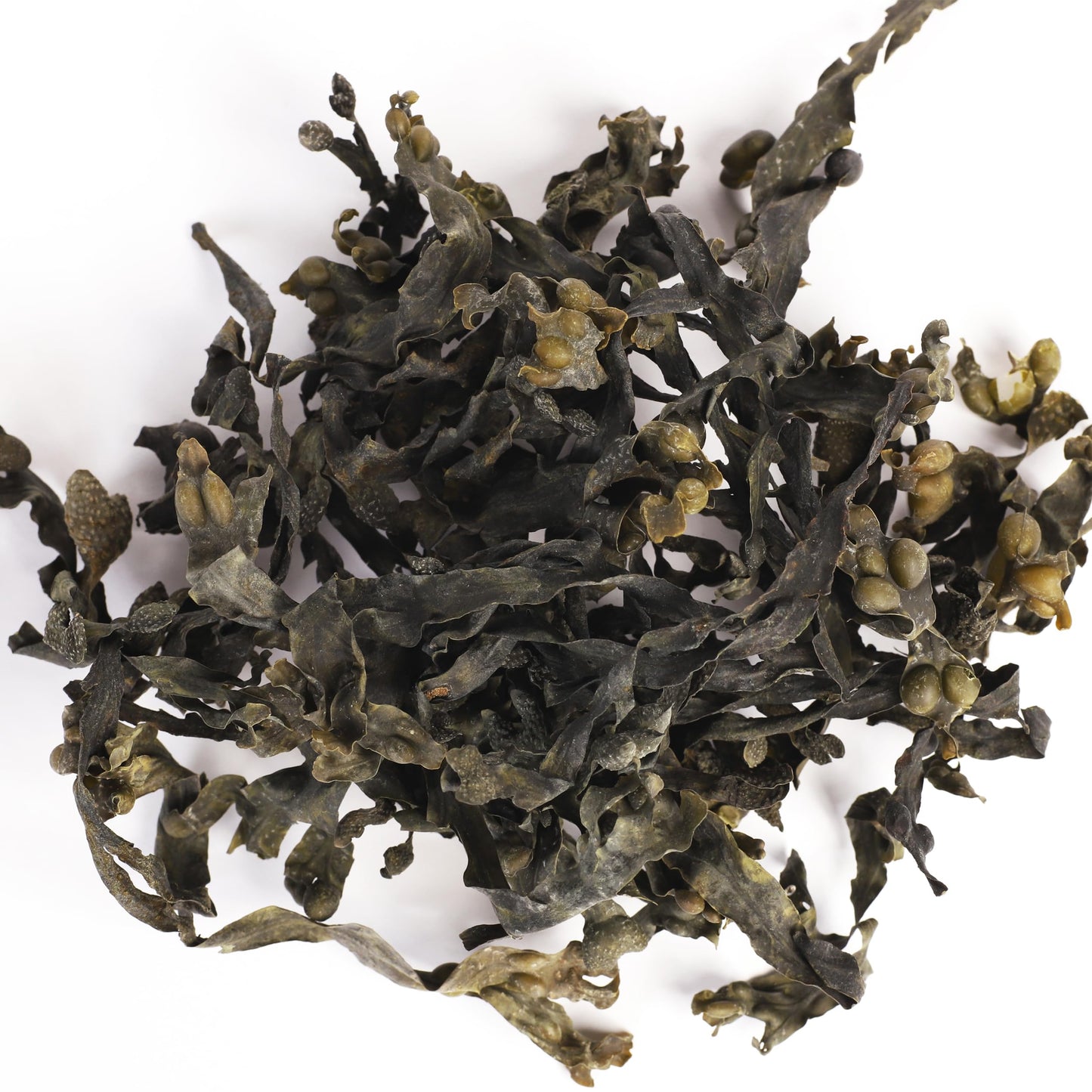 VITAMINSEA Bladderwrack Dried Seaweed for Snacking & Seasoning | 4 oz Whole Leaf