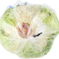 Organic Iceberg Lettuce, 1 Each