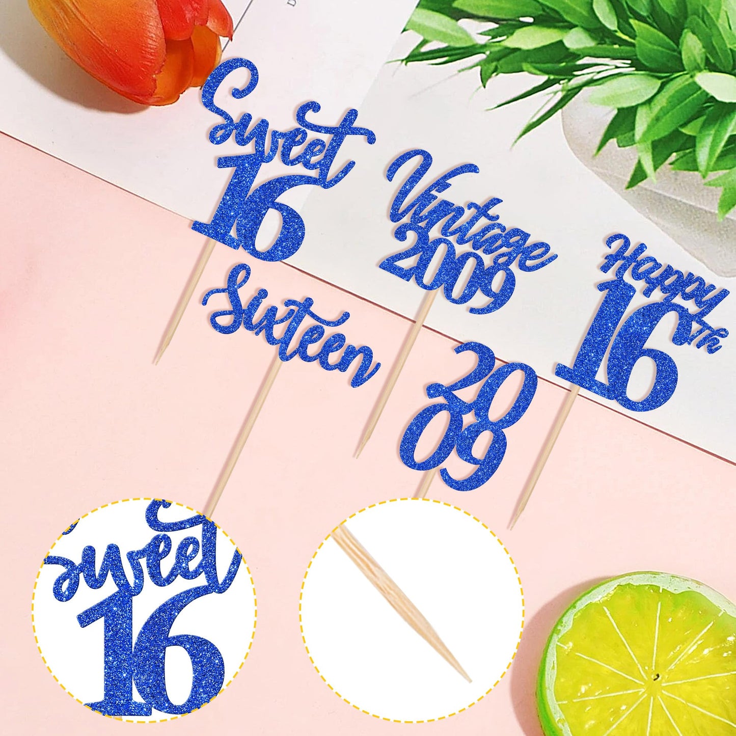 30Pcs Happy 16Th Birthday Cupcake Toppers Cheers To 16 Vintage 2009 Cupcake Picks Sweet 16 Sixteen 16Th Birthday Decorations For