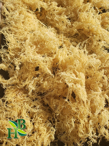Irish Sea Moss | Gold | Saint Lucia | 100% Wildcrafted, Raw, Sun Dried | Premium Quality | With Over 90 Minerals And Vitamins, N