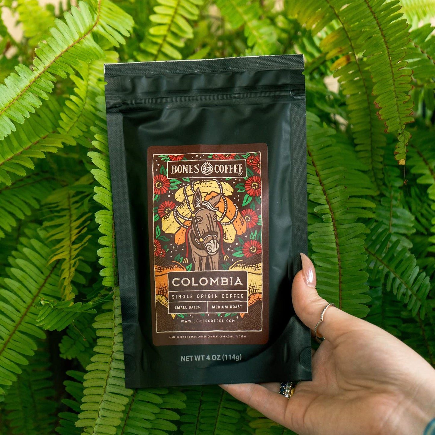 Bones Coffee Company New World Tour Bundle Ground Coffee Beans | Gift Box Set With Specialty Coffee Mug | 4 Oz Pack Of 5 Assorte