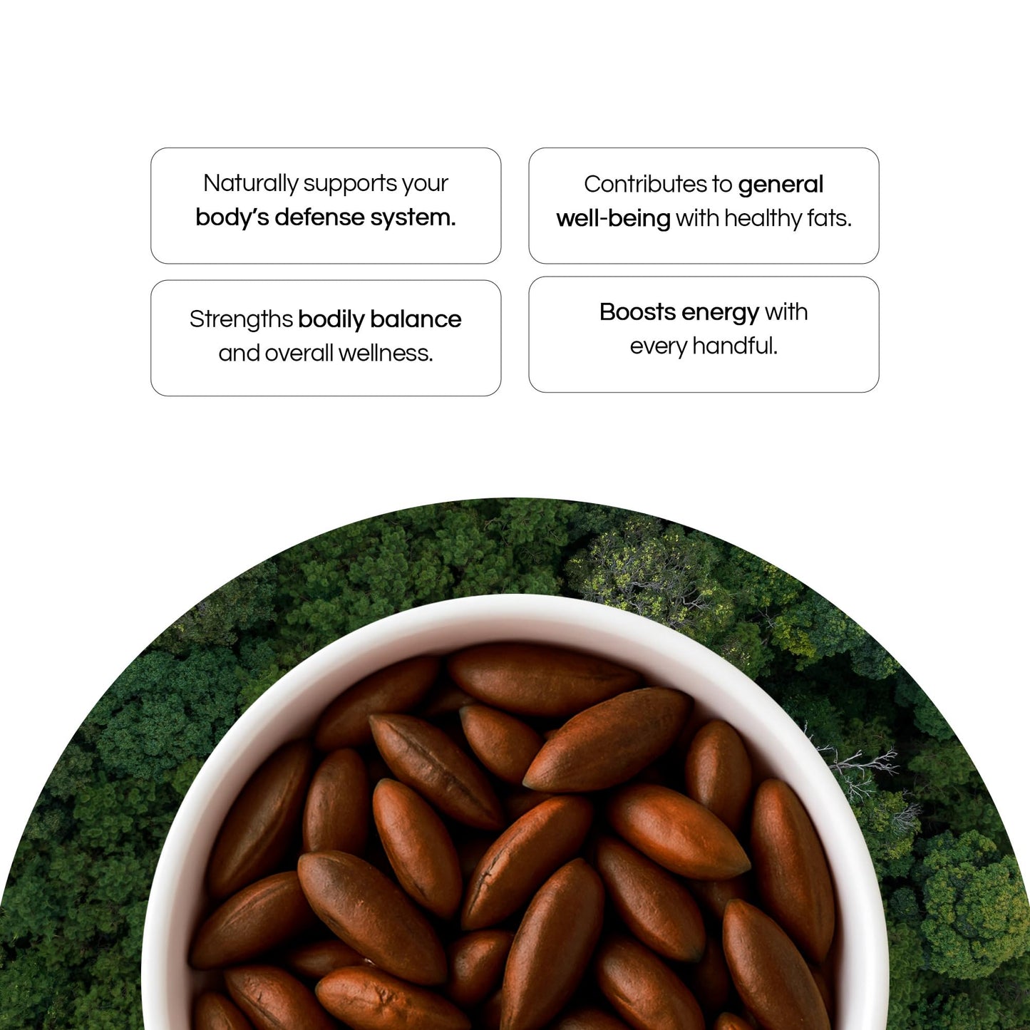 Baru Nuts Kit, 20 oz - Rich in Vitamins and Minerals - Natural Source of Energy and Well-Being - Whole, Plant-Based - No Added G