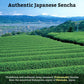 Sugimoto Tea Japanese Green Tea Sencha Loose Leaf 3.5 Oz (100 G) Pack Of 3
